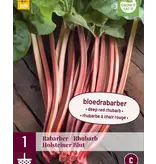 Rhubarb - Holsteiner Blut - 1 Plant - Sweet Rhubarb With Bright Red Stems