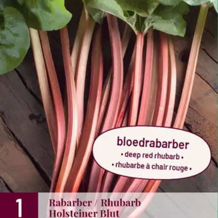 Rabarber - Holsteiner Blut - 1 Plant - Zoete Rabarber Met Felrode Stengels
