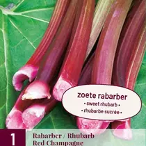 Rhubarb - Red Champagne - 1 Plant
