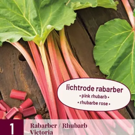 Rabarber - Victoria - 1 Plant - Heerlijke Wrange Smaak - Ras Met Vrij Dikke Stelen