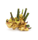 Ginger - 5 Plants - Indoor and Outdoor Growing - For Different Dishes