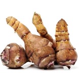 Aardpeer - 5 Planten - Aardpeer Zelf Kweken En Waar Plant Je Deze?