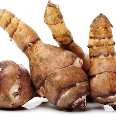 Aardpeer - 5 Planten - Aardpeer Zelf Kweken En Waar Plant Je Deze?