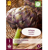 Artichoke - 3 Plants - Light nutty flavour - Italian cuisine