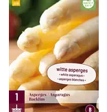 Asperges - Backlim - 3 Planten - Witte / Groene Asperges Zelf Kweken?