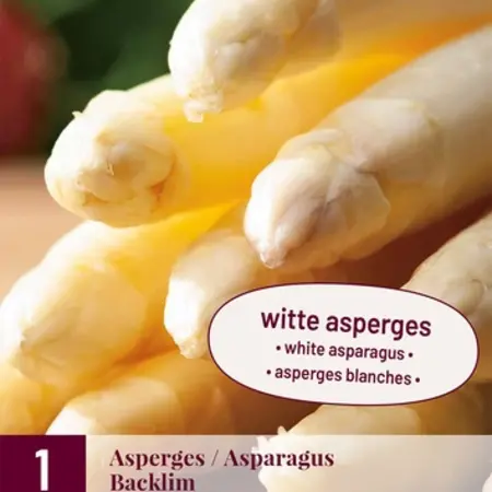 Asparagus - Backlim - 3 Plants - White/Green Asparagus Grow your own?