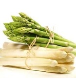 Asperges - Backlim - 5 Planten - Witte / Groene Asperges Zelf Kweken?