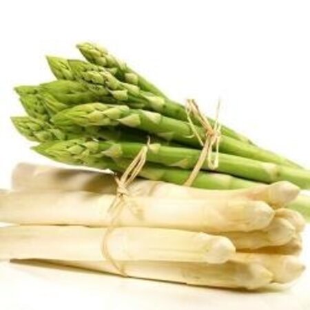 Asparagus - Backlim - 3 Plants - White/Green Asparagus Grow your own?