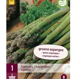 Asperges - Gijnlim - 3 Planten - Voor Witte En Groene Asperges - Groenteplanten Kopen?