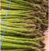 Asperges - Gijnlim - 5 Planten - Voor Witte En Groene Asperges - Groenteplanten Kopen?