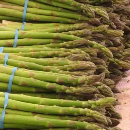 Asparagus - Gijnlim - 5 Plants - For White And Green Asparagus - Buy Vegetable Plants?