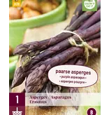 Asparagus - Erasmus - 3 Plants - Salad Asparagus With Sweet Flavours - BBQ Or Wok