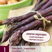 Asparagus - Erasmus - 3 Plants