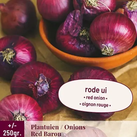 Onions - Red Baron - 250 Grams - Red Onions - Buy Plant/Pot Onions? - Kitchen Garden