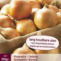 Onions - Stuttgarter Riesen - 250 grams