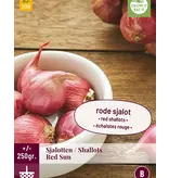 Shallots - Red Sun - 250 Grams - Early Harvest - Buy Red Shallots?