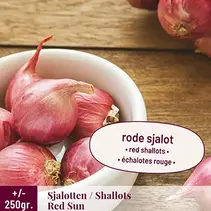 Shallots - Red Sun - 250 grams