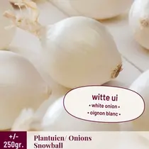 Onions - Snowball - 250 Grams