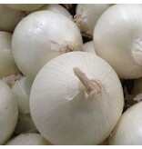 Onions - Snowball - 250 Grams - Sweet Onions - Buy White Onions?