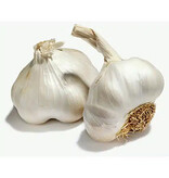 Garlic - Casablanca - 100 Grams - Buy Plant Garlic and Onions? - Kitchen Garden