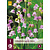 Convallaria Majalis Rosea - 3 Plants