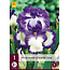 Iris Germanica Loop the Loop - 3 Planten - Vaste Plant - Zomerbloeiers Kopen?