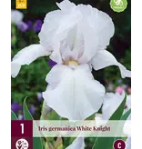 Iris Germanica White Knight - 3 Plants - Hardy - Zwaardiris - Bearded Iris Buy?