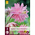 Aquilegia Pink Barlow - 6 Planten