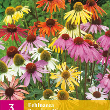 Echinacea Breeders Mix - 9 Planten - Zonnehoed Gemengd - Tuinplanten Kopen?