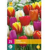 Triumph Tulips Mixed - 15 Flowerbulbs - Buy Spring Flowers?