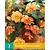 Begonia Sunray - Cascade - 2 Bollen