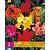 Canna Mix - 3 Planten