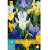 Iris Hollandica Mix - 25 Bollen - Gemengde Irisbloemen - Zomerbloeiers Kopen?