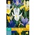 Iris Hollandica Mix - 25 Bollen