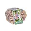 Gladioli Pastel Mix - Large-flowered - Buy Summer Flowers? Garden-Select.com