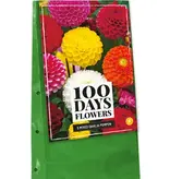 Dahlia Pompon Mix - Summer Flowers - Buy promotional gifts? Garden Select