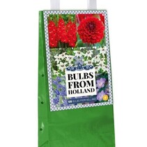 Bulbs From Holland - 125 Bulbs