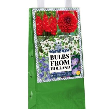 Bulbs From Holland - 125 Mixed Flower Bulbs In Gift Bag - 5 varieties