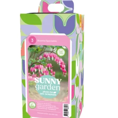 Dicentra Spectabilis Pink - New - 3 Plants - Buy Gift or Promotional Item?