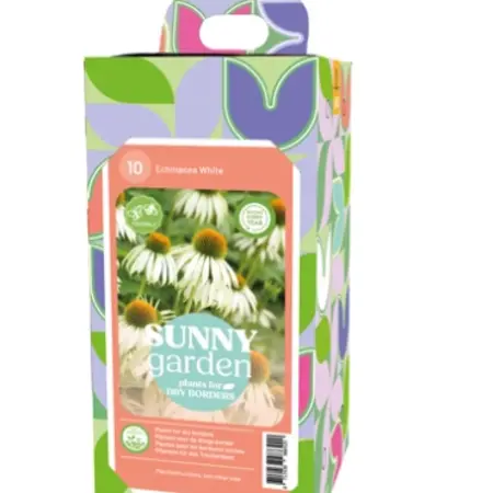 Echinacea White - New - 10 Plants - Buy Gift Or Business Gift? Garden-Select.com