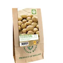 Seed potato Firstling - 500 grams