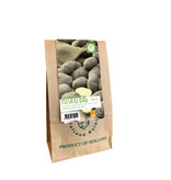 Seed potato Frieslander - Firm Boiling - Buy summer potatoes?