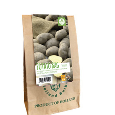 Seed potato Frieslander - Firm Boiling - Buy summer potatoes?