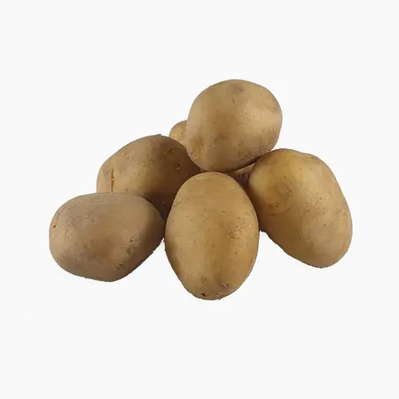 Seed potato Frieslander - Firm Boiling - Buy summer potatoes?