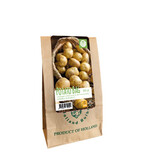 Seed potato Vitabella - Buy organic firm potatoes? Garden-Select.com