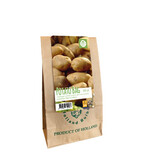 Pootaardappel Lucera - Vroege Aardappelsoort Kopen? Garden-Select.com