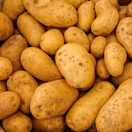 Pootaardappel Vincenta - Middenvroeg - Vast Kokende Aardappels Kopen?