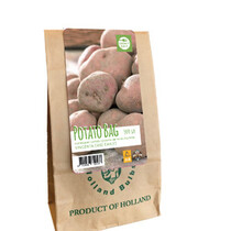 Seed potato Vincenta - 500 grams