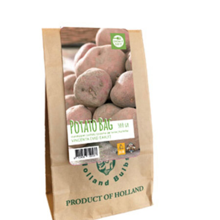 Seed Potato Vincenta - Mid-early - Solid Cooking Potatoes Buy?
