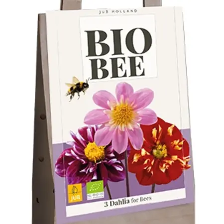 Bio Bee - Dahlia's - 3 Biologische Dahlia Knollen - Cadeau - Relatiegeschenk Kopen?